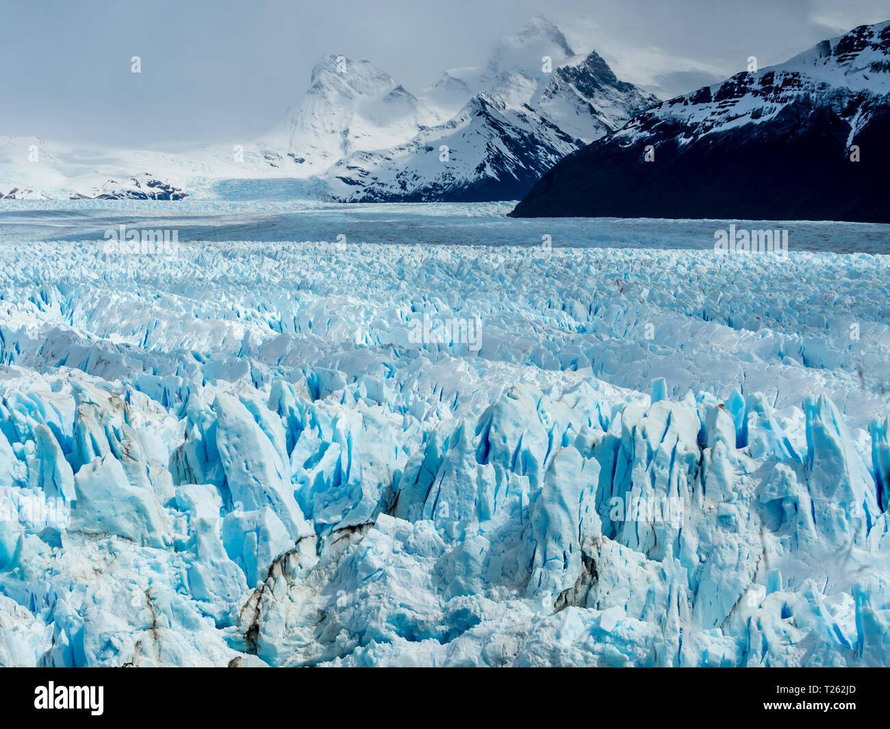 Argentinien, El Calafate, Patagonien, Gletscher Perito Moreno Stockfoto