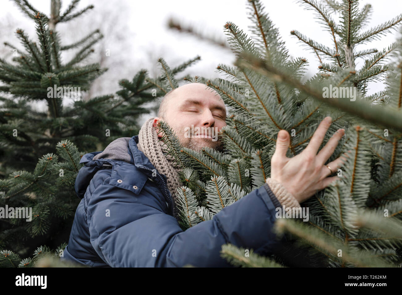Lächelnd Mann umarmen Weihnachtsbaum auf einer Plantage Stockfoto