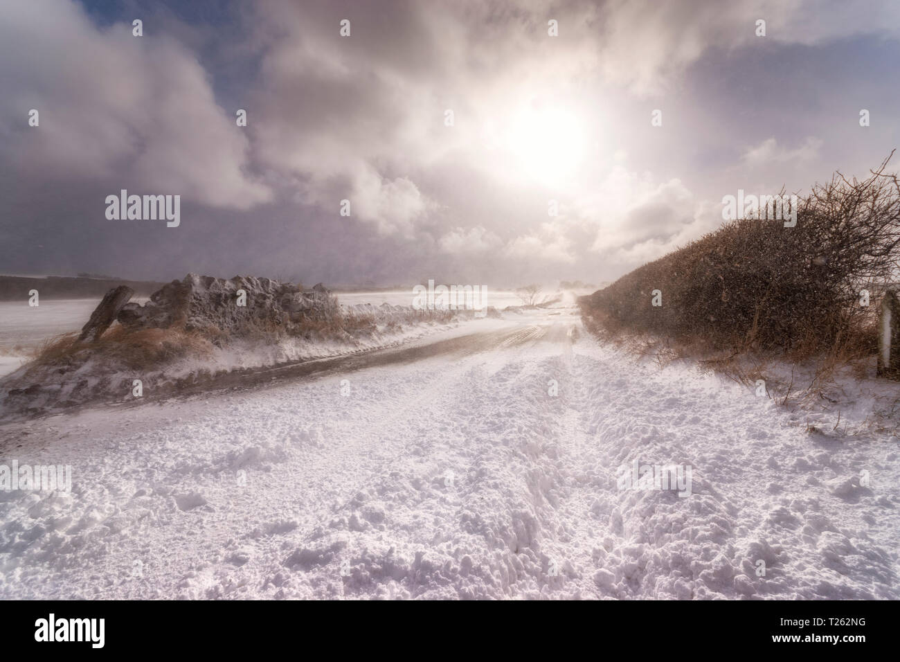Vereinigtes Königreich, Schottland, East Lothian, North Berwick, Schneeverwehungen, gesperrte Straße Stockfoto