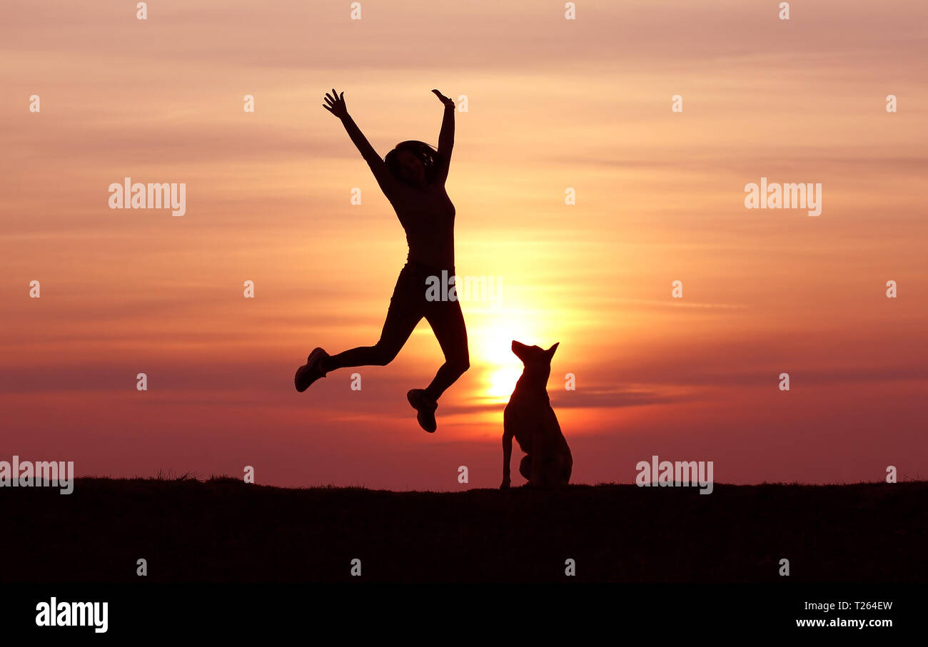 Silhouetten Mädchen und Hund bei Sonnenuntergang, Belgischer Schäferhund Malinois züchten, unglaublichen Sonnenuntergang, sportliche Mädchen springen, der Hund schaut am springenden Mädchen Stockfoto