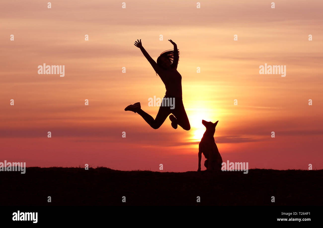Silhouetten Mädchen und Hund bei Sonnenuntergang, Belgischer Schäferhund Malinois züchten, unglaublichen Sonnenuntergang, sportliche Mädchen springen, der Hund schaut am springenden Mädchen Stockfoto