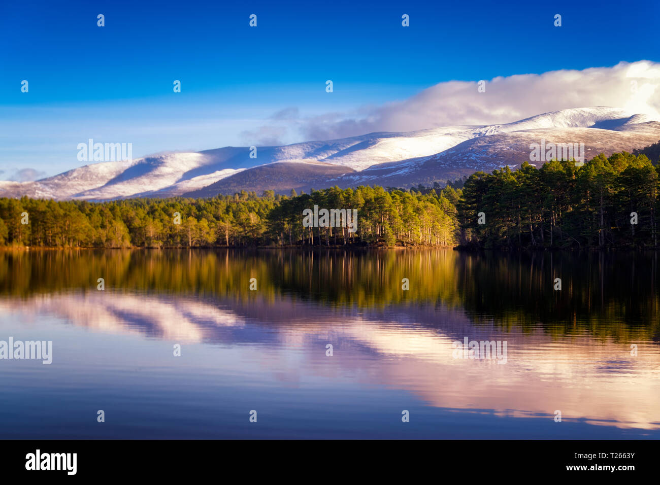 Vereinigtes Königreich, Schottland, Highlands, Cairngorms National Park, Loch ein Eilean, winter Stockfoto