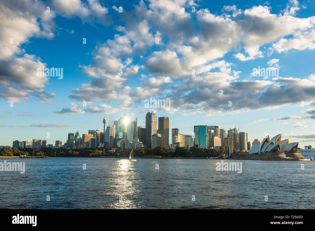 Australien, New South Wales, Sydney Central Business District und Sydney Opera House Stockfoto