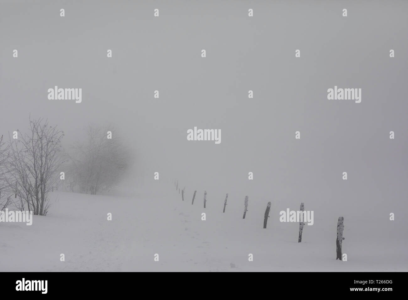 Frankenthal missheimle Fotos und Bildmaterial in hoher Auflösung Alamy