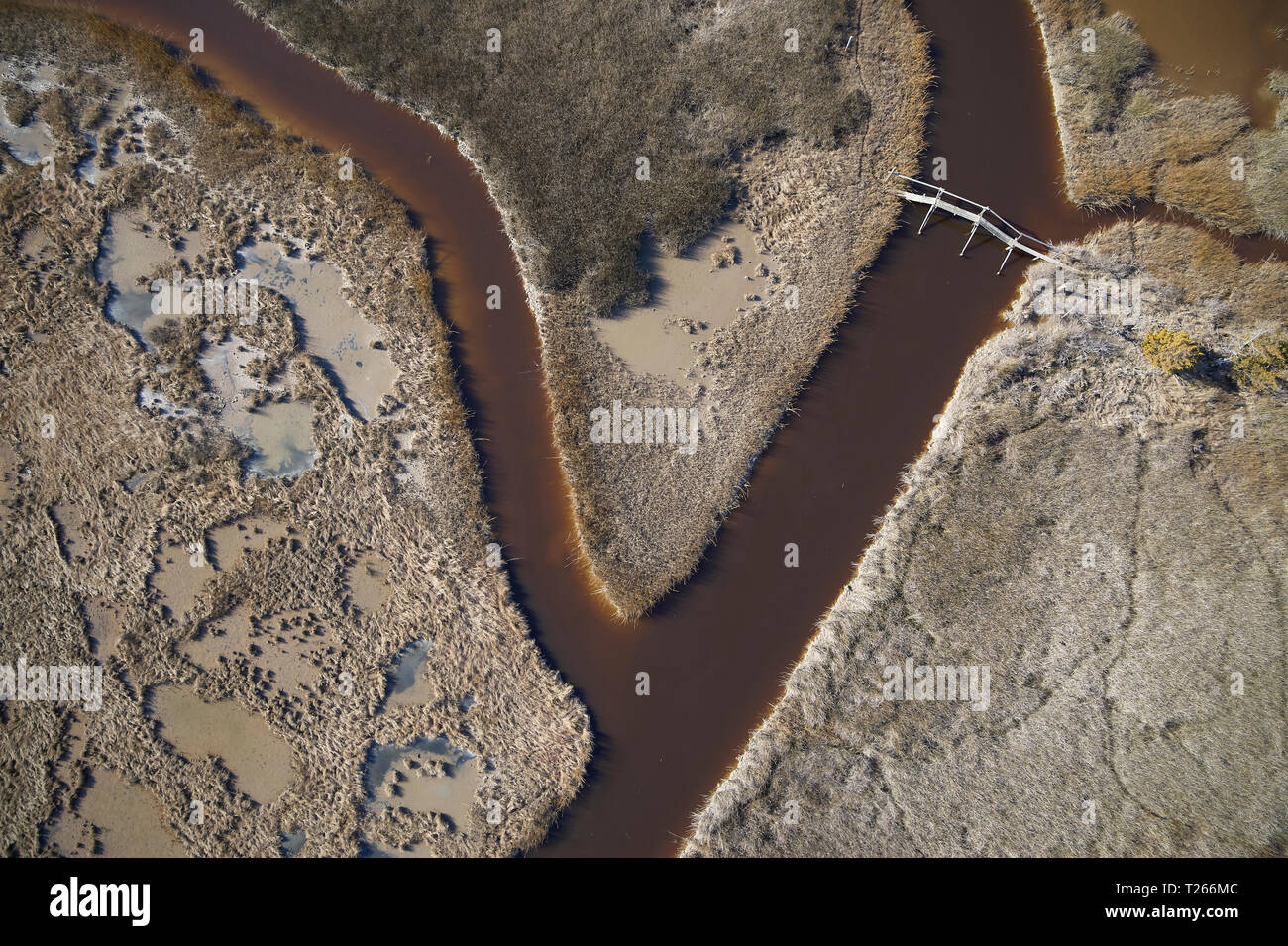 USA, Marsh auf dem östlichen Ufer von Maryland mit einem Wanderweg und Fußgängerbrücke, Anstieg des Meeresspiegels aufgrund der globalen Erwärmung Stockfoto