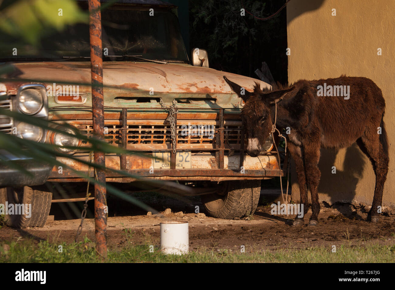 El Remolino, Mpo. Zaragoza, Coahuila, Mexiko Stockfoto