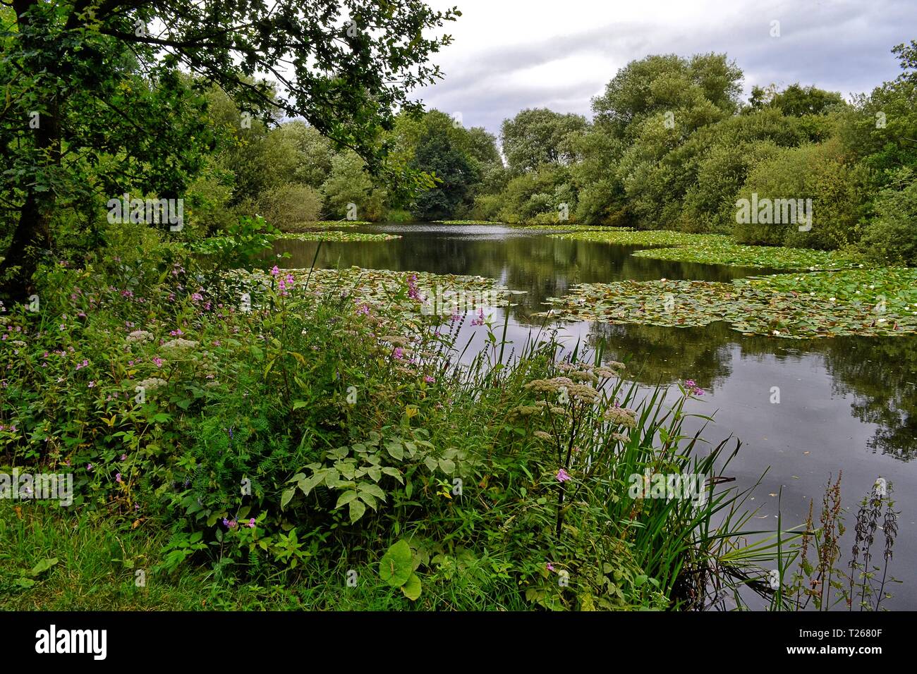 Kingsbury Water Park, North Warwickshire, England, Großbritannien Stockfoto