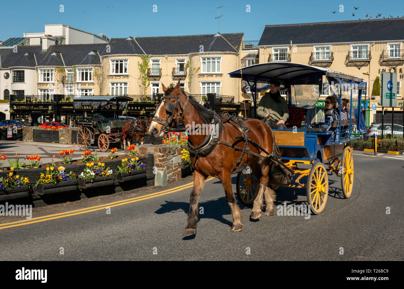 Killarey Irland und Pferdekutsche mit Touristen auf den Straßen, da die Anmietung eines jaunting Auto ist sehr beliebte touristische Aktivität in der Stadt. Stockfoto