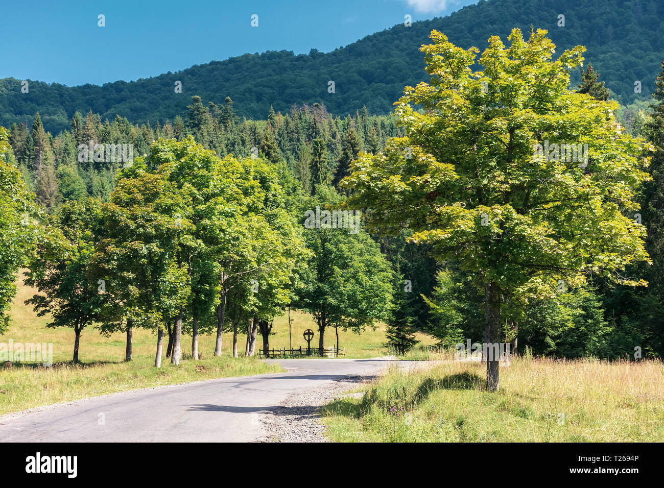 Straße obwohl die Landschaft in den Bergen. Bäume entlang dem Weg. schönen sonnigen Tag Stockfoto