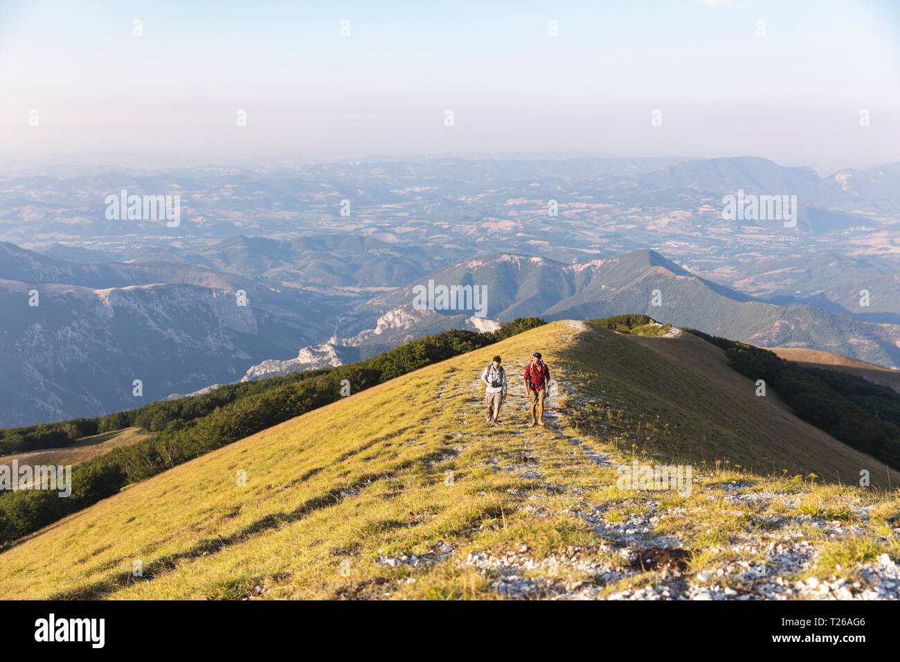 Italien, Monte Nerone, zwei Männer wandern auf einem Berg im Sommer Stockfoto