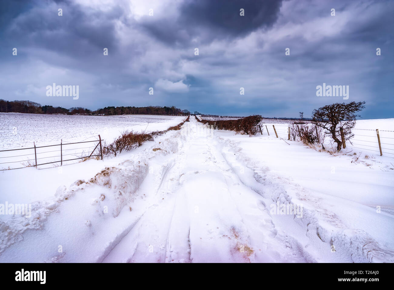Vereinigtes Königreich, Schottland, East Lothian, North Berwick, Schneeverwehungen, gesperrte Straße Stockfoto