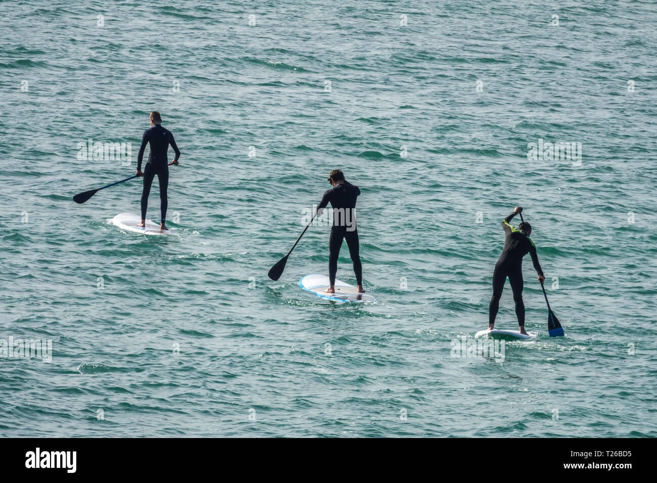 Drei Paddelboarder auf dem Meer, Paddelboarder im Meer in Valencia, Spanien, Freizeitaktivität Stockfoto