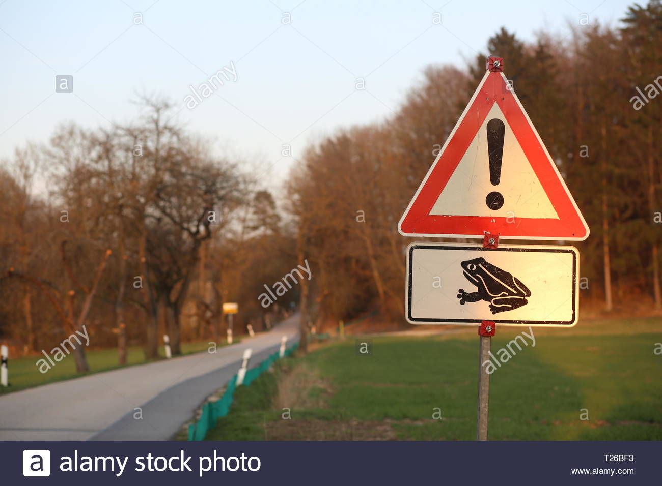 Einen dreieckigen roten Schild warnt Autofahrer vor den Gefahren der Frösche über die Straße im Frühjahr Stockfoto