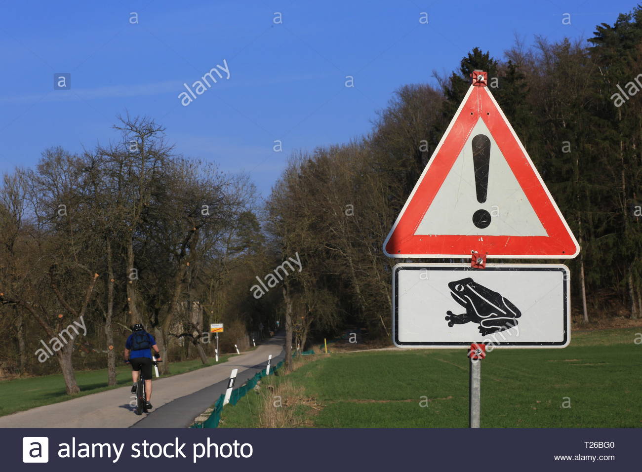 Einen dreieckigen roten Schild warnt Autofahrer vor den Gefahren der Frösche über die Straße im Frühjahr Stockfoto