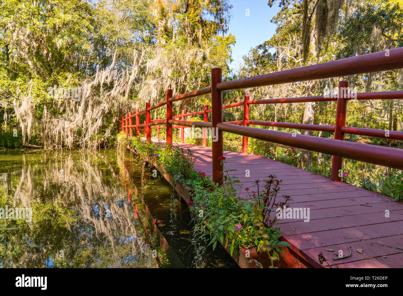 Reflexion der rote hölzerne Brücke über einem See in Magnolia Plantation in Charleston, South Carolina Stockfoto