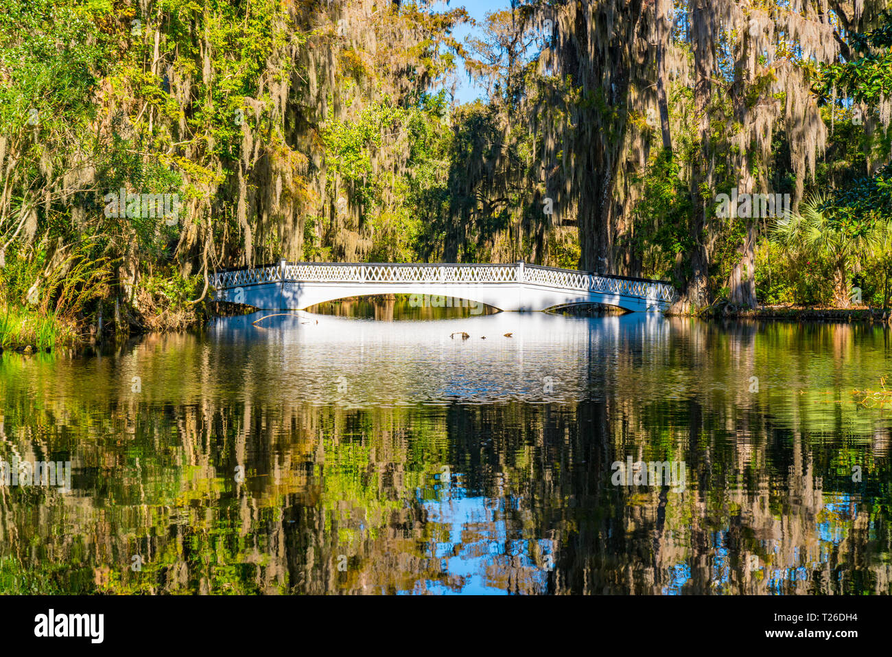Reflexion der weißen Brücke über einem See in Magnolia Plantation in Charleston, South Carolina Stockfoto