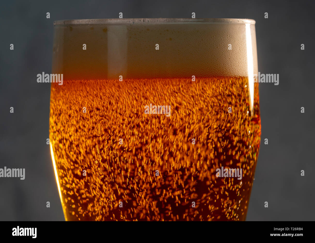 Blasen- und Schaumbildung in die Lichtstrahlen in einem Glas Bier close-up Stockfoto