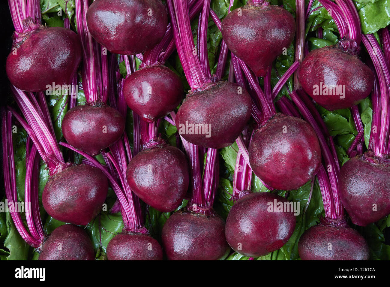Rüben fotografiert in einem inszenierten Ambiente. Stockfoto