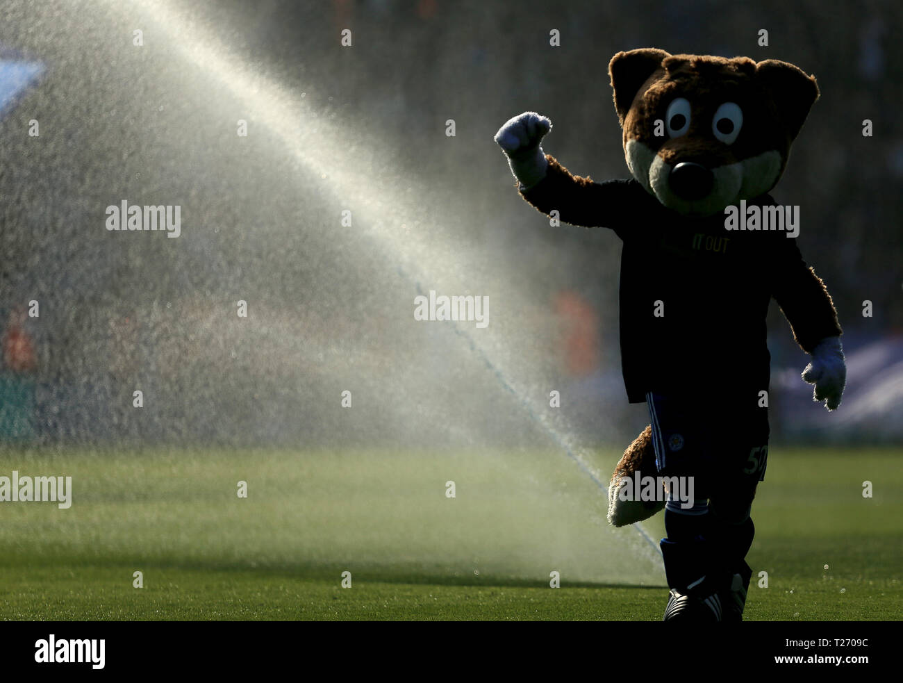 King Power Stadion, Leicester, Großbritannien. Am 30. März 2019. Die Leicester City Maskottchen Wanderungen durch die Sprinkler an einem sonnigen Tag für die King Power Stadion. Credit: Paul Roberts/bis Top/Alamy Live News Credit: Paul Roberts/OneUpTop/Alamy leben Nachrichten Stockfoto