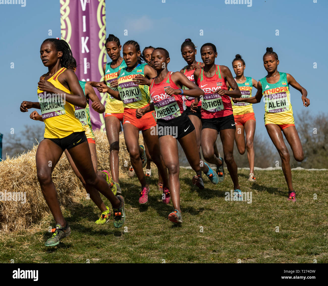 U20-Rennen der Frauen, IAAF World Cross Country Championships 2019 Stockfoto