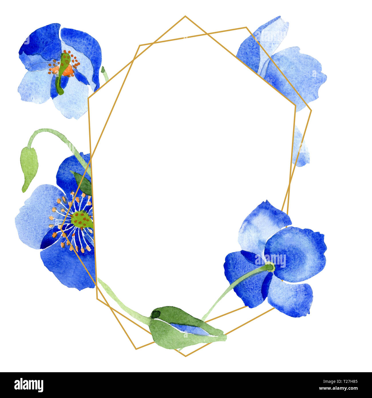 Blue Poppy botanischer Blumen Blumen. Aquarell Hintergrund Abbildung. Rahmenlinie ornament Quadrat. Stockfoto