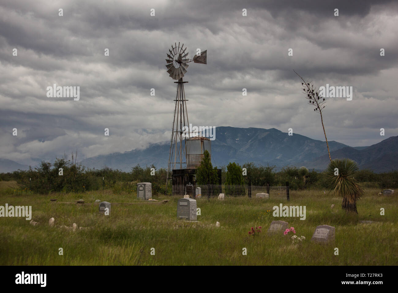 Cochise, Cochise County, Arizona, USA Stockfoto