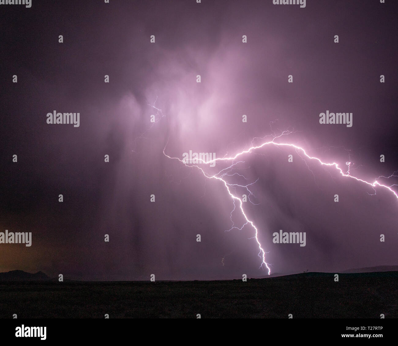 San Bernardino Valley, Cochise County, Arizona, USA Stockfoto