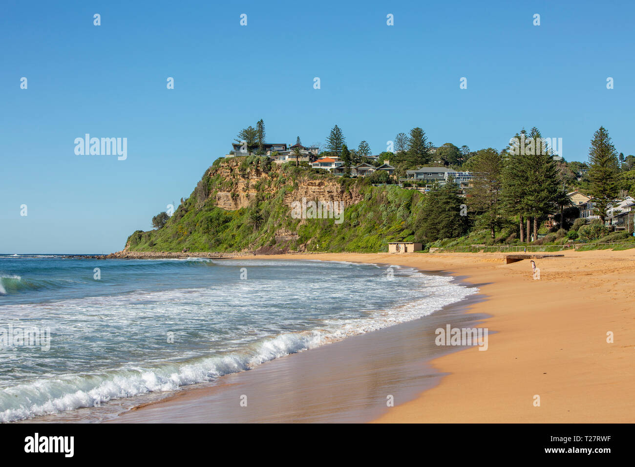 Australian Beach, Newport Beach in Sydney ist am nördlichen Strände von Sydney, New South Wales Stockfoto