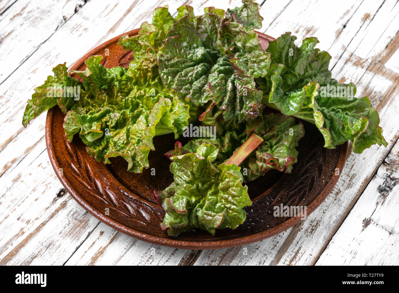 Bündel frisch gepflückt organische Rhabarber Rhabarber auf hölzernen Tisch. Stockfoto