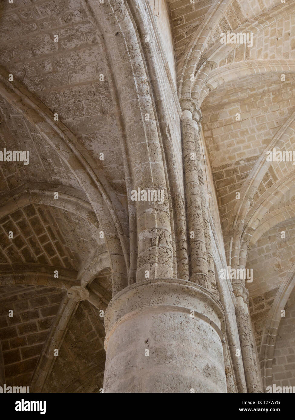 Interior Detail der Spalte in der ehemaligen Kirche der Hll. Peter und Paul jetzt genannt Sinan Pasa Moschee in Famagusta Zypern, für Konzerte und Veranstaltungen genutzt Stockfoto