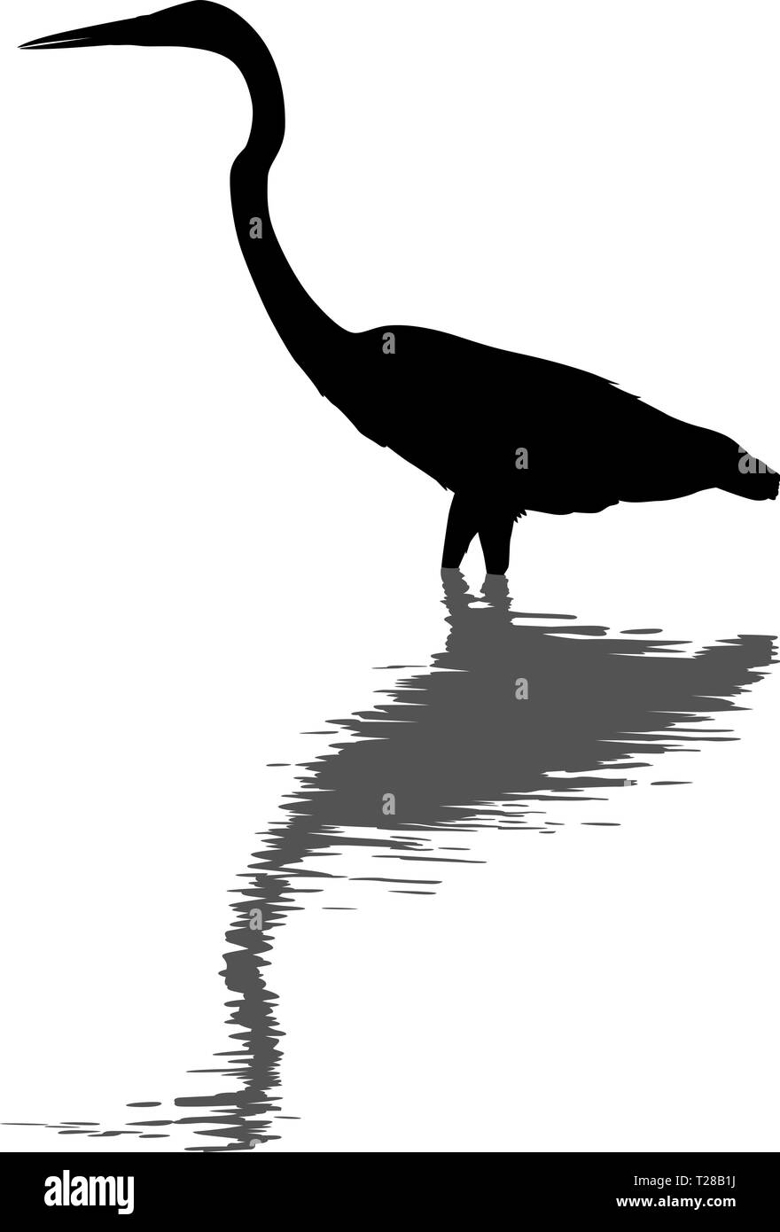 Editable vector Silhouette der Silberreiher ständige im tiefen Wasser mit seiner Reflexion Stock Vektor