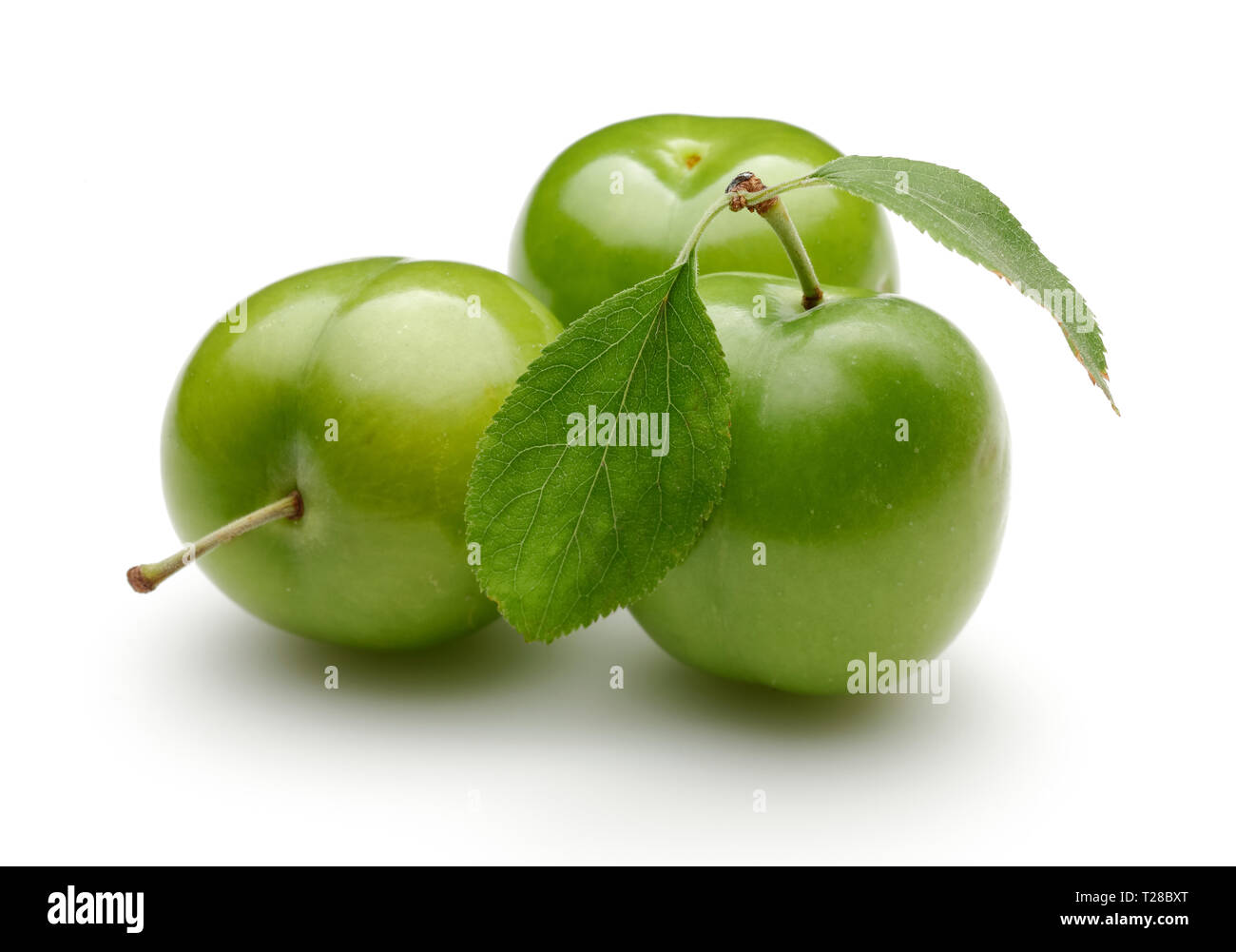 Frische grüne Pflaumen mit Blatt auf weißem Hintergrund Stockfoto