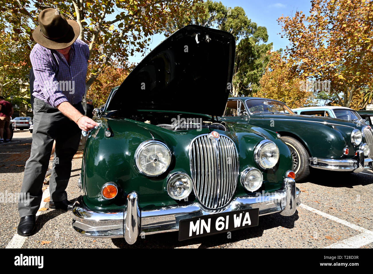 Jaguar Mk II und Eigentümer Stockfoto