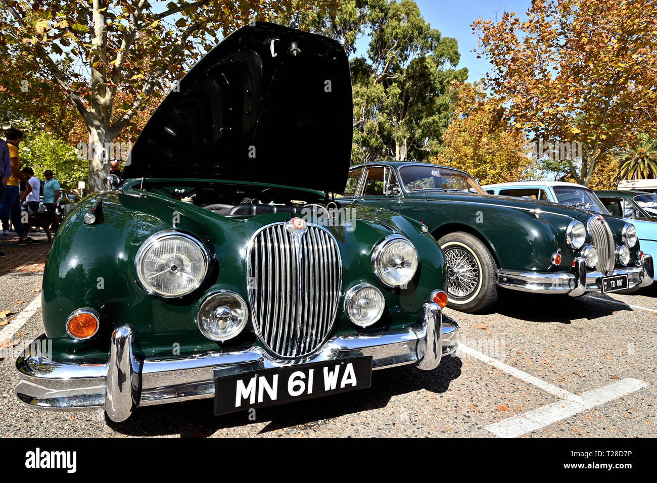 Jaguar Mk II. Stockfoto