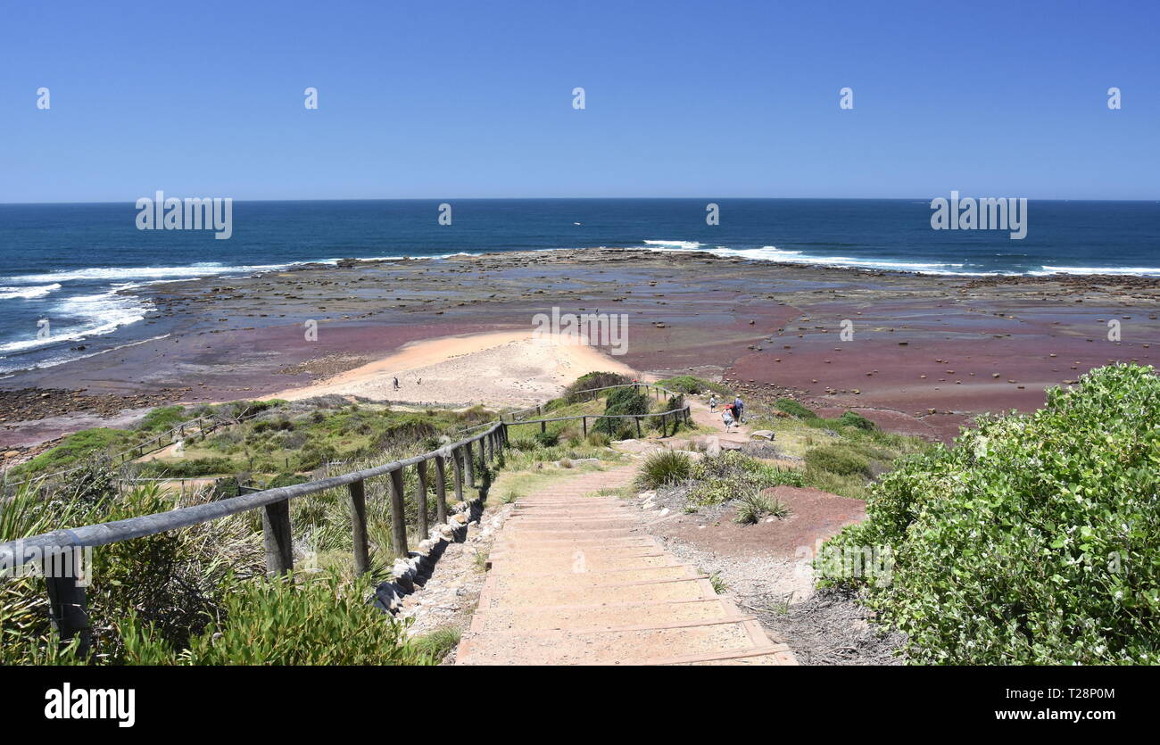 Long Reef Strand bei Ebbe (Sydney, NSW, Australien). Iconic Landspitze wurde von der Heilsarmee gehört aber nun gehört es für die Öffentlichkeit. Stockfoto