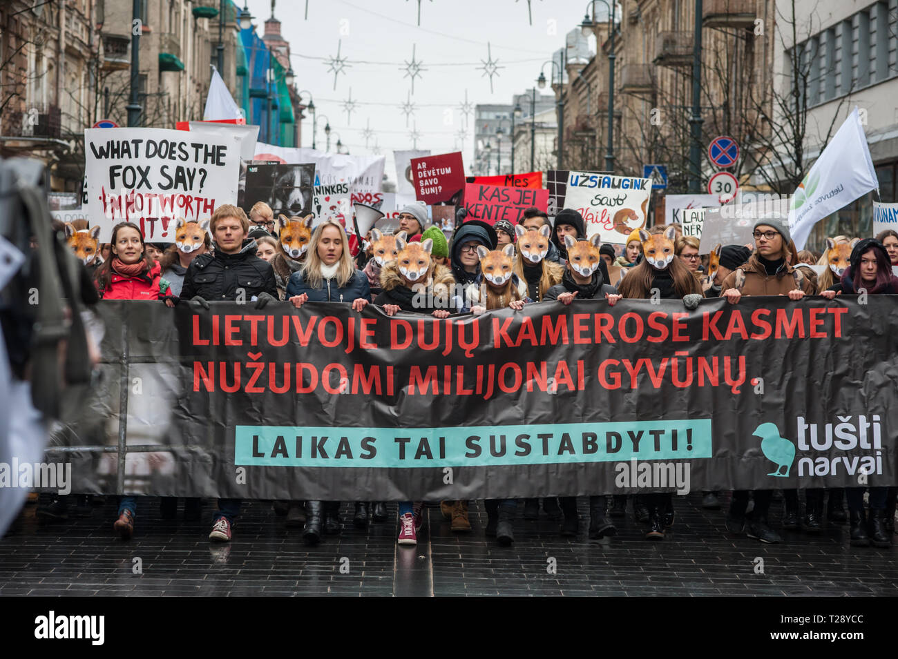 Ein Protest gegen die Pelzindustrie in Vilnius, Litauen. Litauen hat noch einige Betriebe, in denen Tiere rein gewachsen sind, ihr Fell zu ernten. Stockfoto