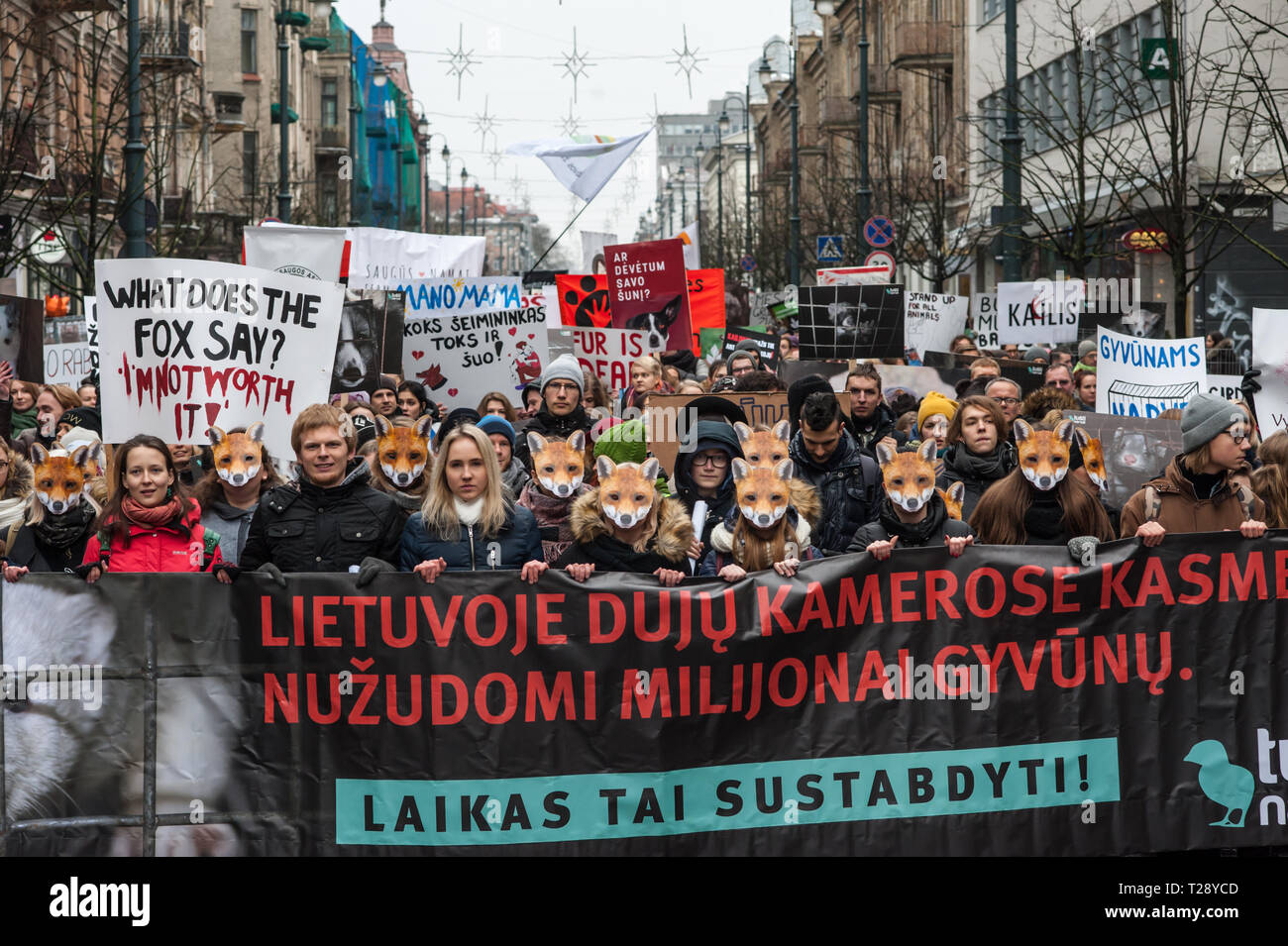 Ein Protest gegen die Pelzindustrie in Vilnius, Litauen. Litauen hat noch einige Betriebe, in denen Tiere rein gewachsen sind, ihr Fell zu ernten. Stockfoto
