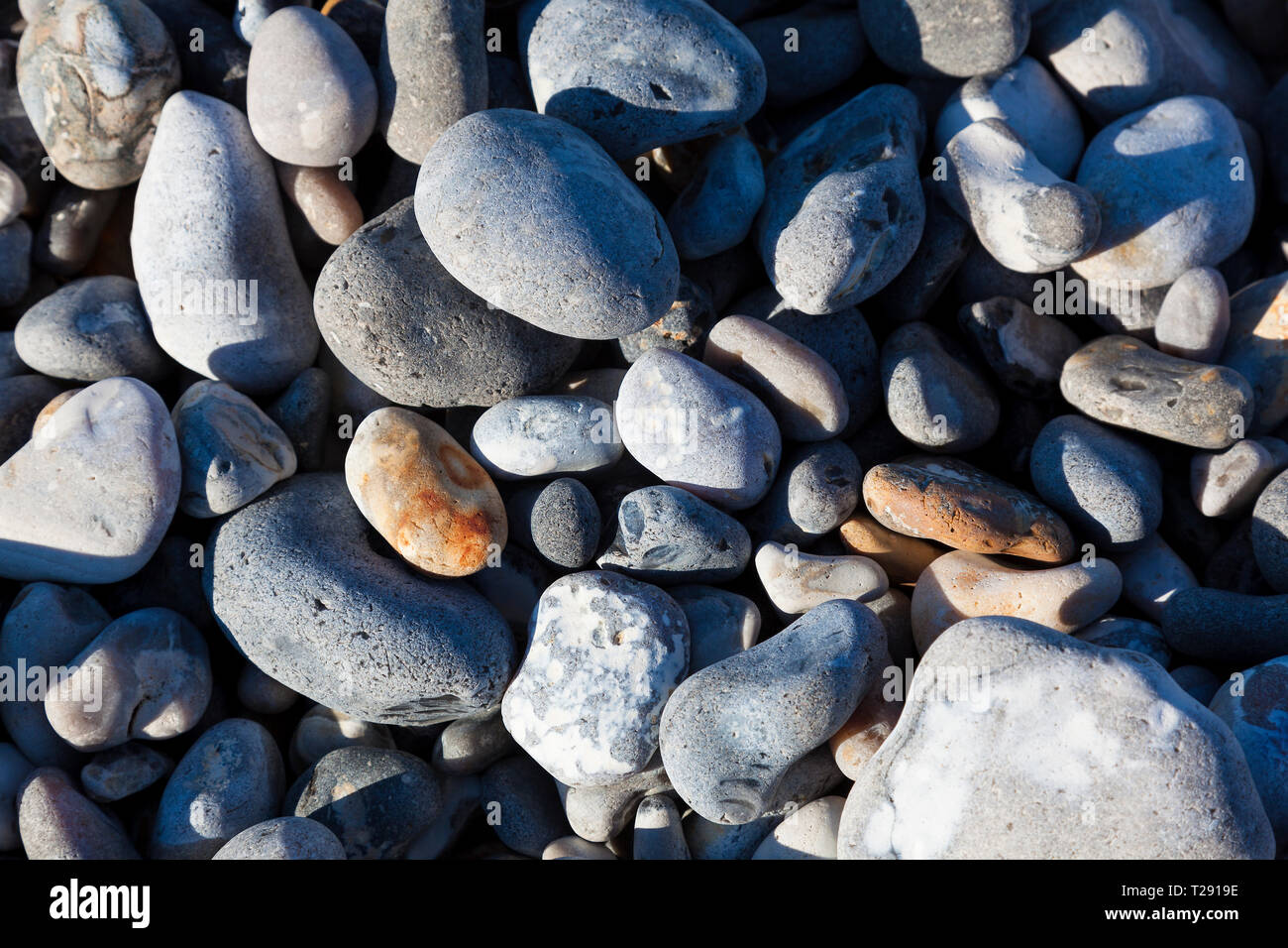 Steine in der Strand Le Cayeux-sur-Mer, Somme, Hauts-de-France, Frankreich Stockfoto