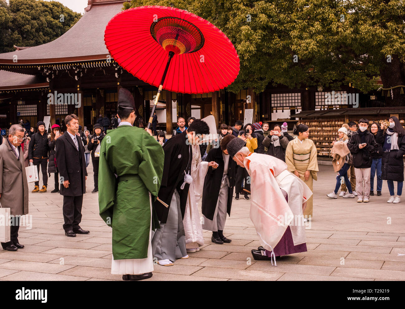 Zuschauer sehen traditionelle Hochzeit im Meiji Jingu-Schrein, Shibuya, Tokio Stockfoto