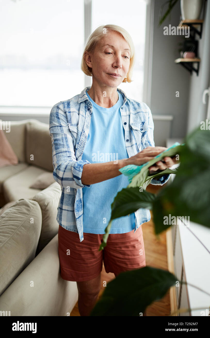 Attraktive Frau die Pflege von zimmerpflanze Stockfoto