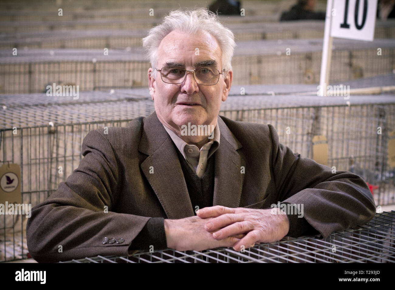 Thomas Nichol, ein Preisträger an der jährlichen Royal Pigeon Racing Association Show des Jahres auf der Winter Gardens, Blackpool. Die Zweitägigen show jedes Jahr in Blackpool statt und zieht 4000 Einträge von taubenzüchter aus der ganzen Welt. Die zweitägige Veranstaltung zog 20.000 Konkurrenten und Zuschauer. Stockfoto