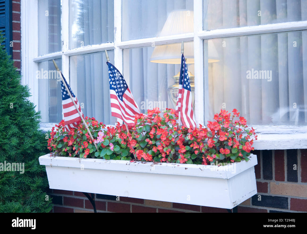 Patriotische Fenster Blumenschau Stockfoto