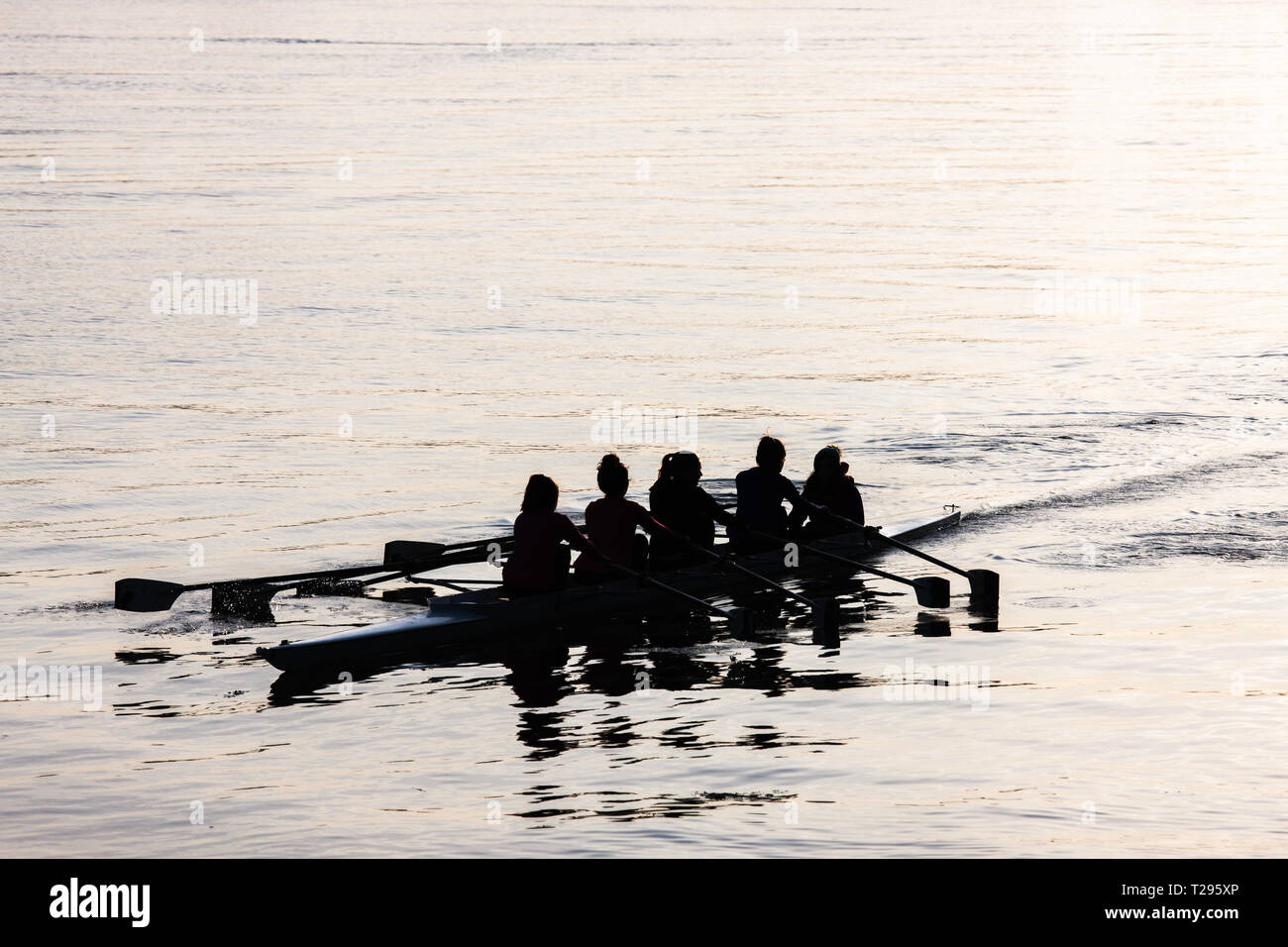 Blackrock, Cork, Irland. 31. März, 2019. Damen aus Cork Yacht Club vieren auf den Fluss für einen Sonntagmorgen Rudern an Blackrock, Cork, Irland. Quelle: David Creedon/Alamy leben Nachrichten Stockfoto