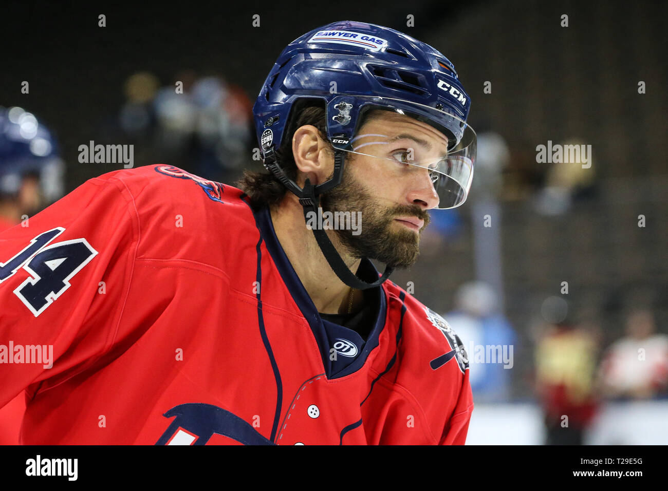 Jacksonville Eisgruben steigt vorwärts Garrett Ladd (14) Während des Warm-ups für ein echl Professional Hockey Spiel gegen die Atlanta Gladiatoren am Veterans Memorial Arena in Jacksonville, Fla., Freitag, 29. März 2019. (Gary Lloyd McCullough/Für Cal Sport Media) Stockfoto