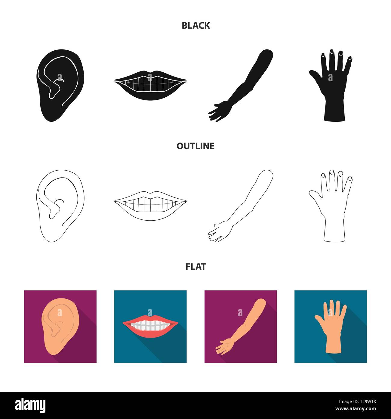 Vector Illustration von Körper und Symbol. Sammlung von Körper und ...