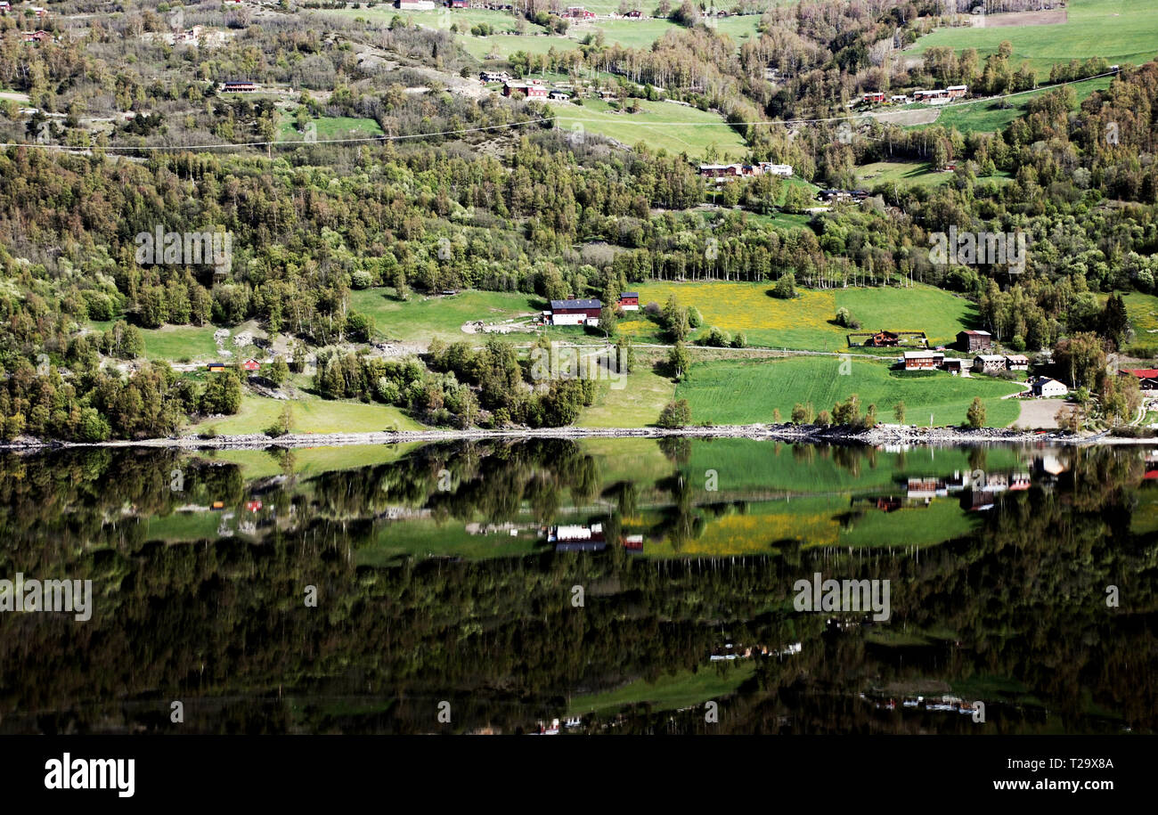 Reflexion von einer grünen Landschaft Stockfoto