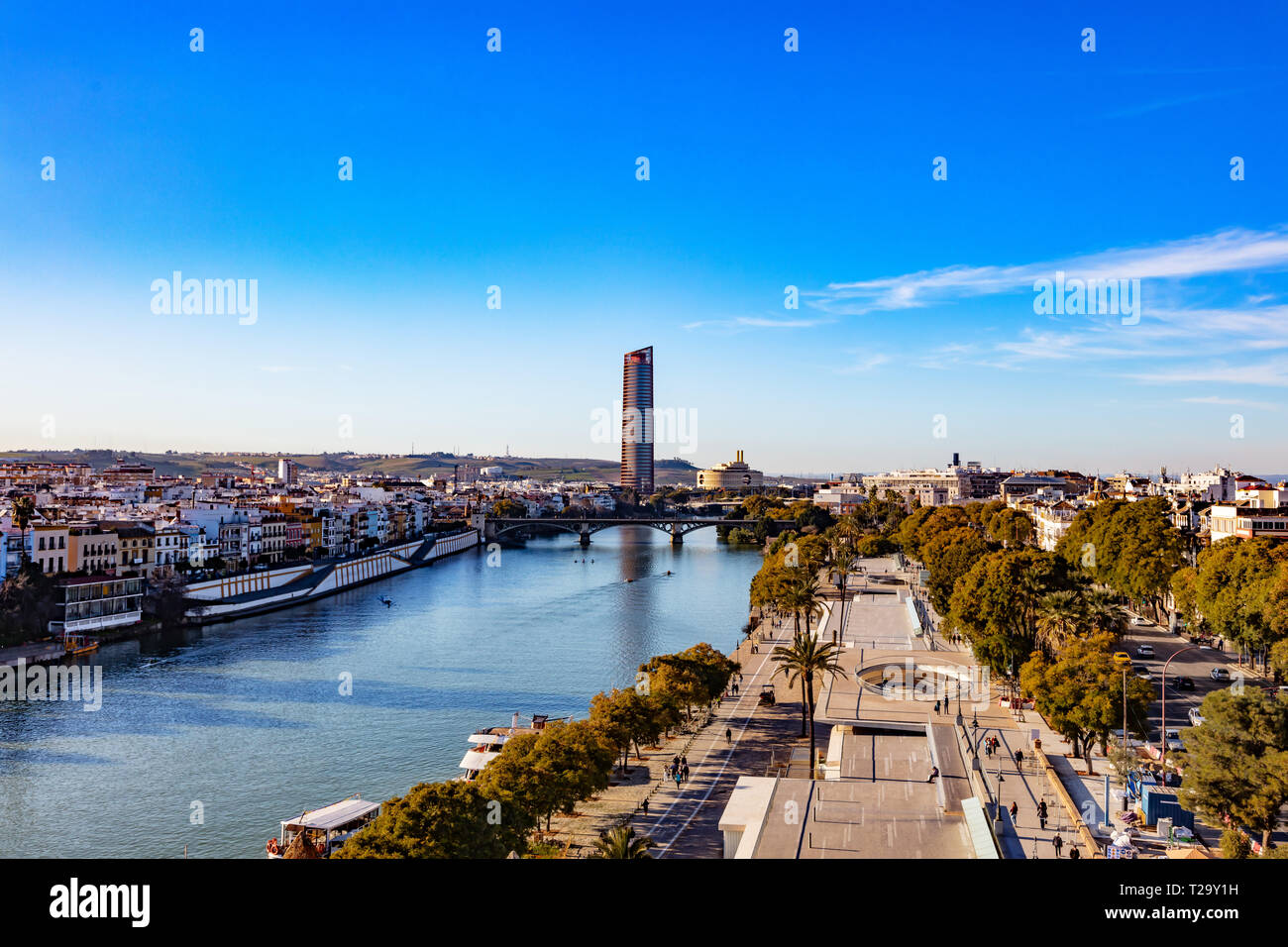 Vue de la Tour Pelli à Séville, Andalousie, Espagne/Ansicht der Pelli Turm in Sevilla, Andalusien, Spanien Stockfoto