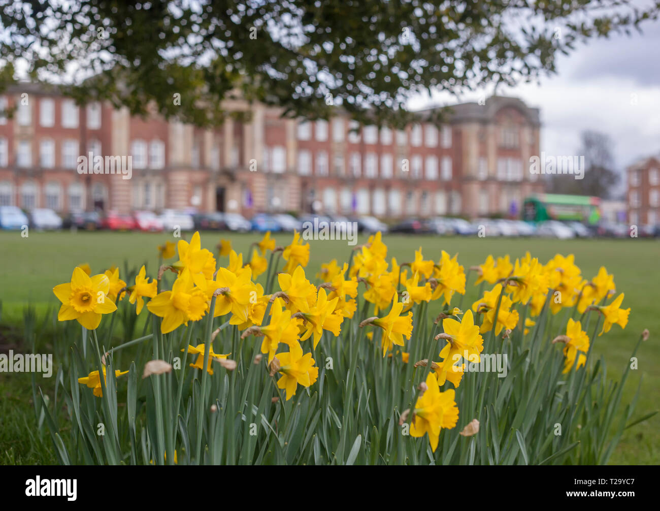 Beckett Universität in Headingley Leeds Stockfoto