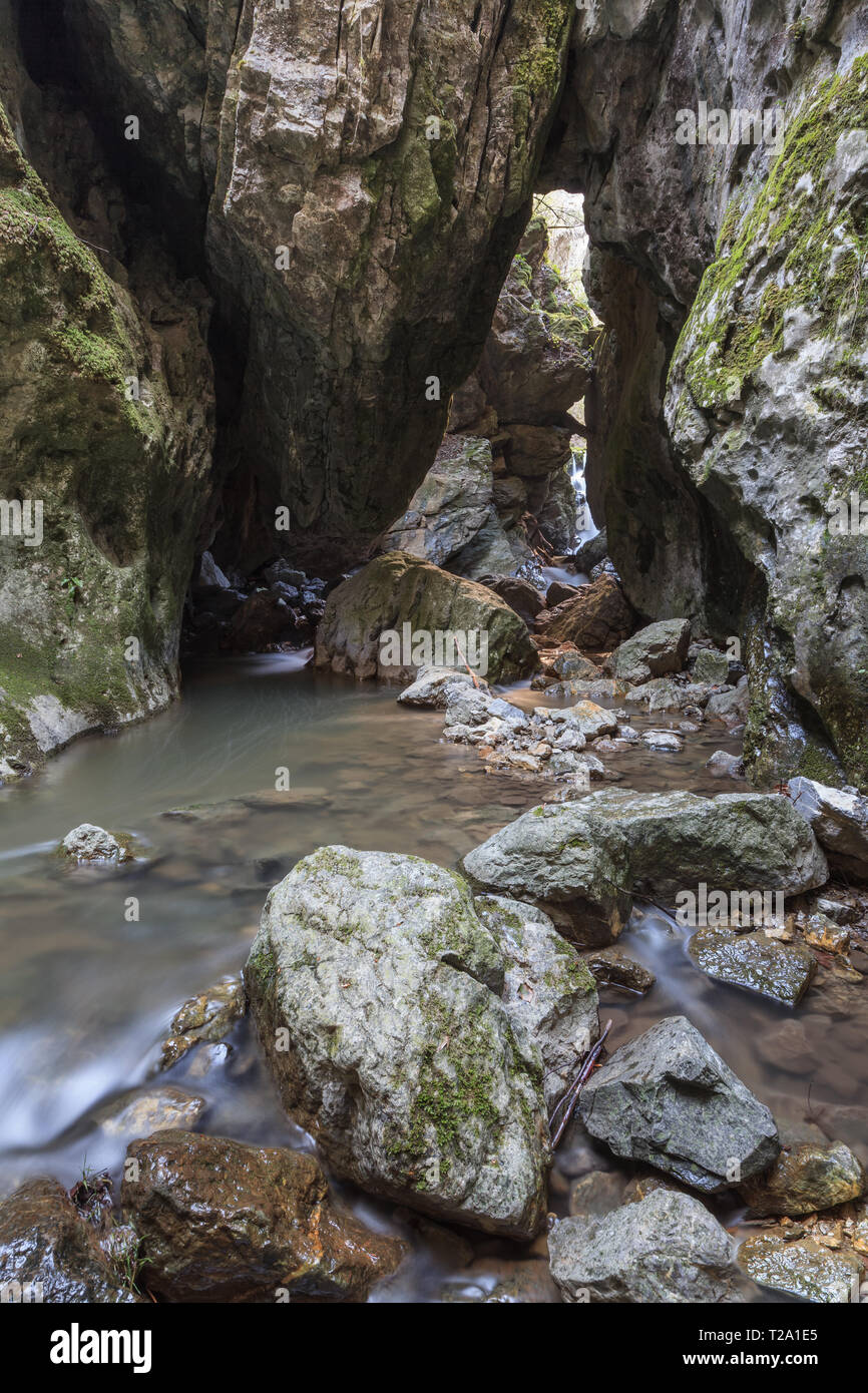 Stream Ponicova in Ciucaru Mare Berge, Rumänien Stockfoto