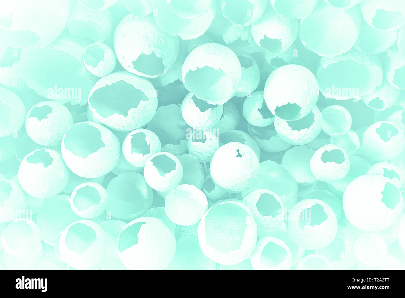 Knickeier Muster so bunt grün hinterlegt. Ansicht von oben, flach, selektive konzentrieren. Ostern kreative minimalen Begriff. Eggshell Textur für Kunst zurück Stockfoto